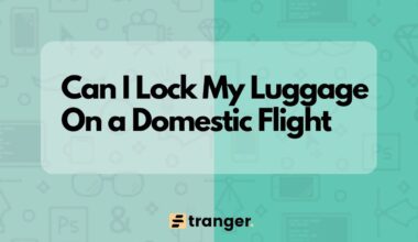 Can I Lock My Luggage On a Domestic Flight?