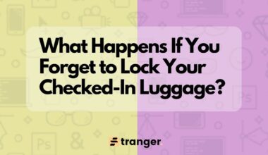 "I Forgot to Lock My Checked In Luggage" Here's what we recommend