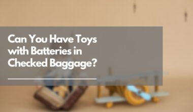 Can You Have Toys with Batteries in Checked Baggage?