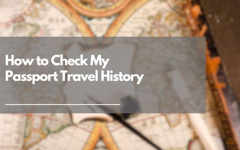 How to Check My Passport Travel History