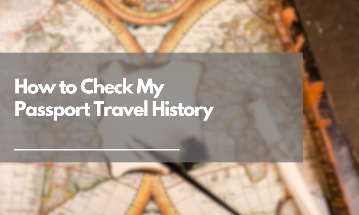 check travel history tfl