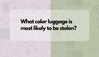 What color luggage is most likely to be stolen?