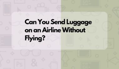 Can You Send Luggage on an Airline Without Flying?