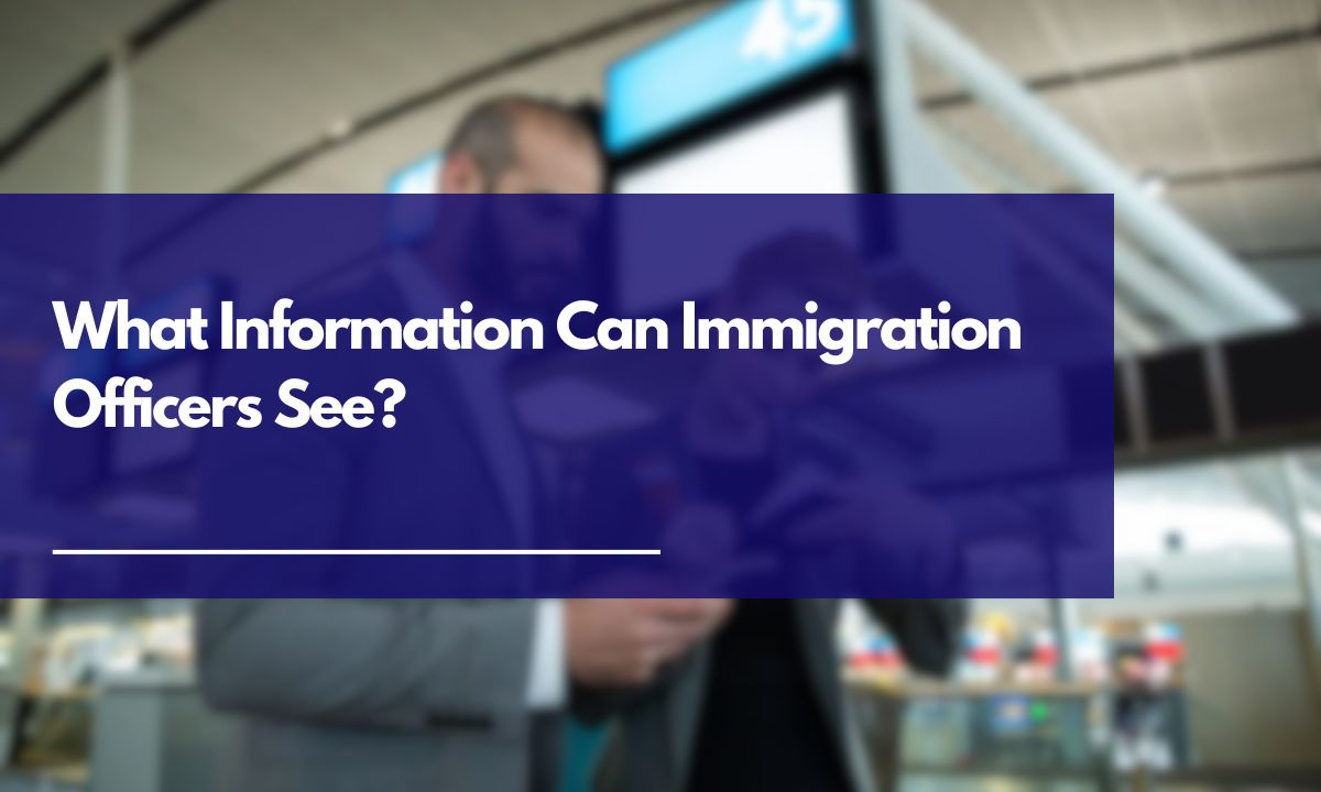 what-information-can-immigration-officers-see-strangermiles