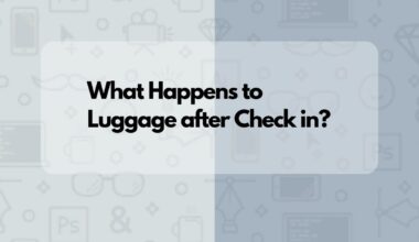 What Happens to Luggage after Check in?