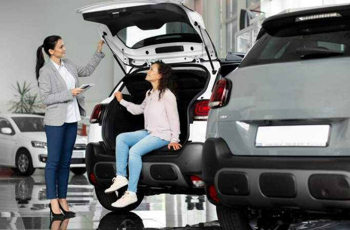 Lading disagreeing with avis car rental over damage