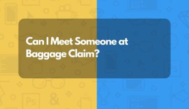 Can I Meet Someone at Baggage Claim?