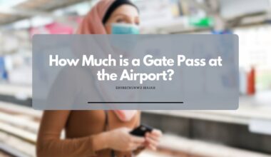 How Much is a Gate Pass at the Airport?